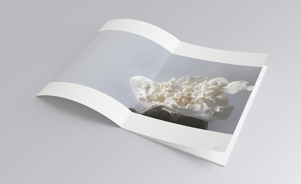 彩頁印刷常規(guī)尺寸有哪些？